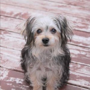 Meet your Posher, Patricia